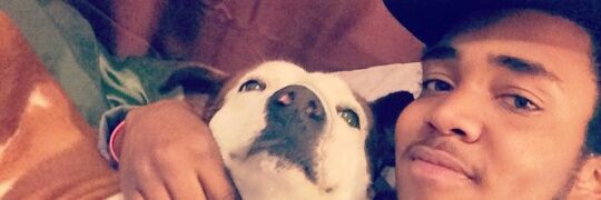 _averyhuber's profile banner image