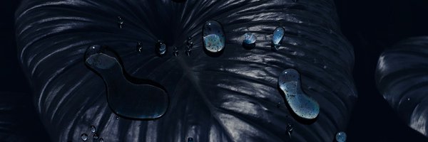 danielleezzo Profile Banner