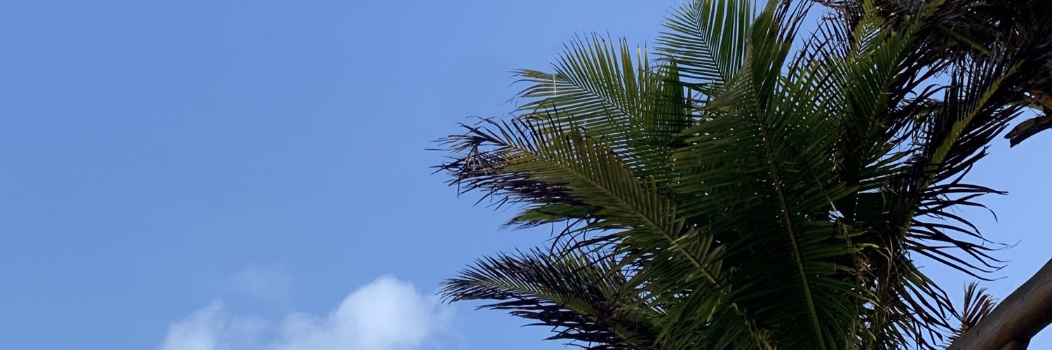 broezzah's profile banner image