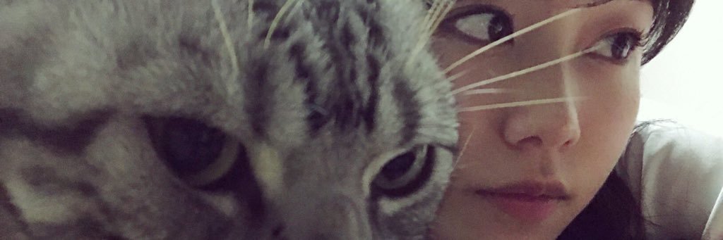 Mirukure0904's profile banner image