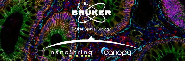 brukerspatial Profile Banner