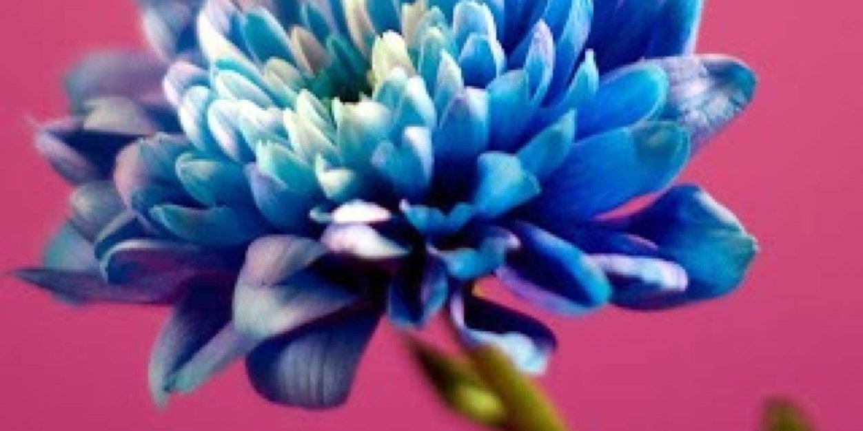 Pam_MME's profile banner image