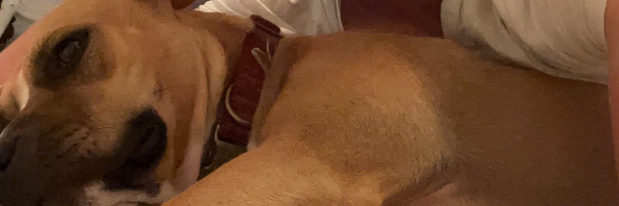 Port_10's profile banner image