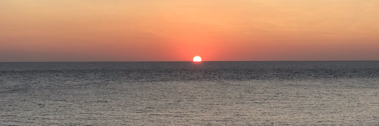 Rosaplazab's profile banner image