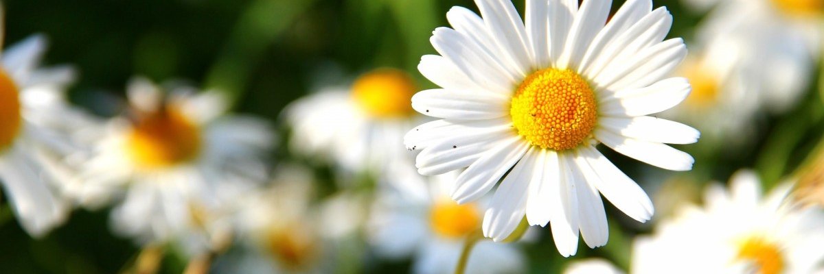 NataEmmanuel's profile banner image