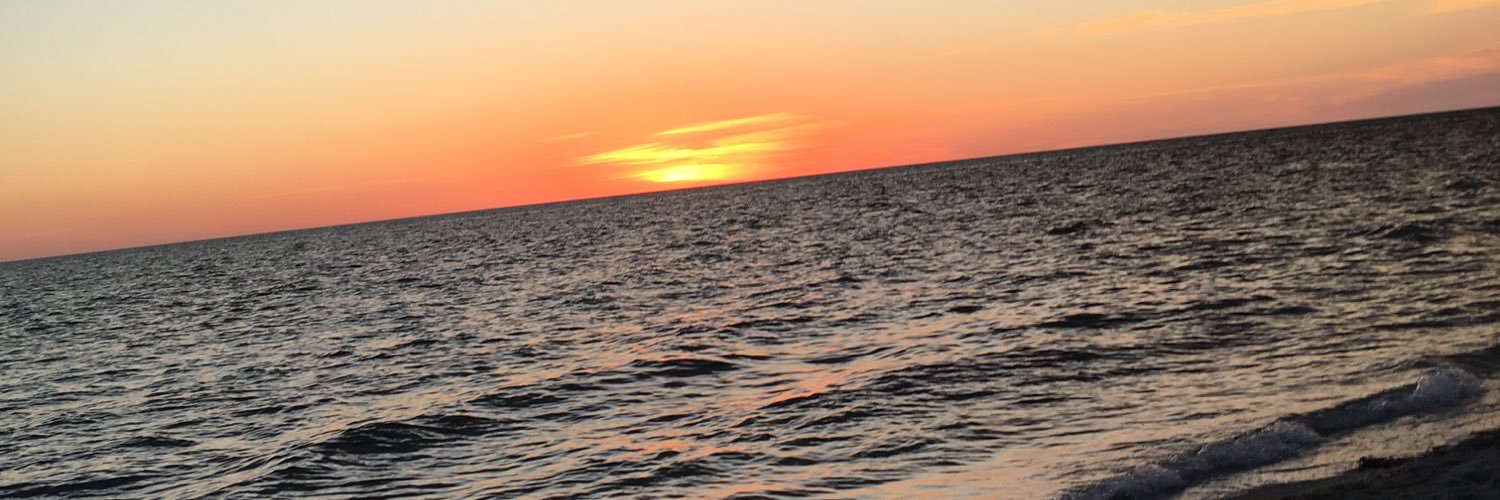 beka_loves_pie's profile banner image