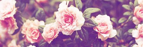 Eneriitz07's profile banner image