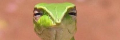 NotEvenSerious_'s profile banner image