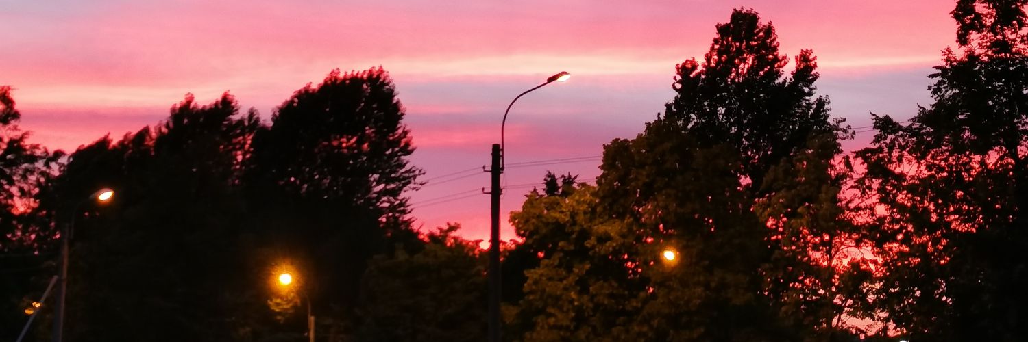 catthetamedshr1's profile banner image