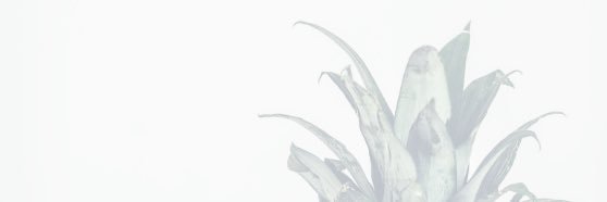 Rhannat17's profile banner image
