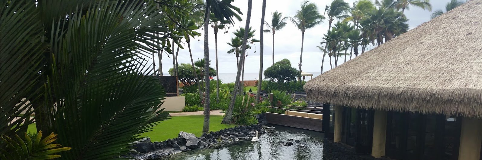 elizabeth mcfall banner