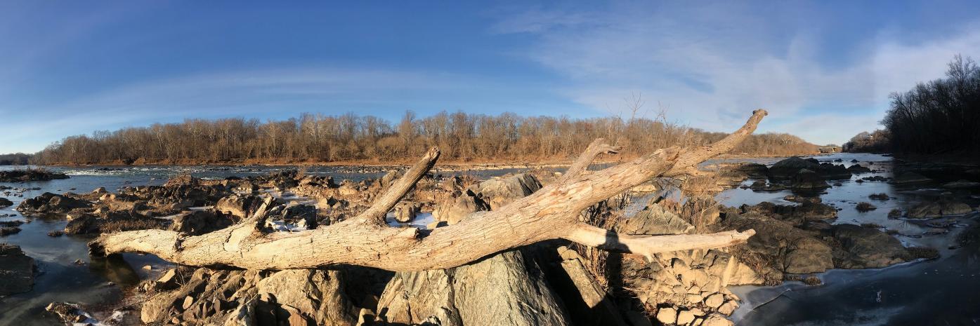 Doug Harrison banner