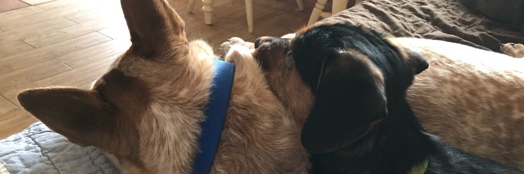 rhwhite12's profile banner image
