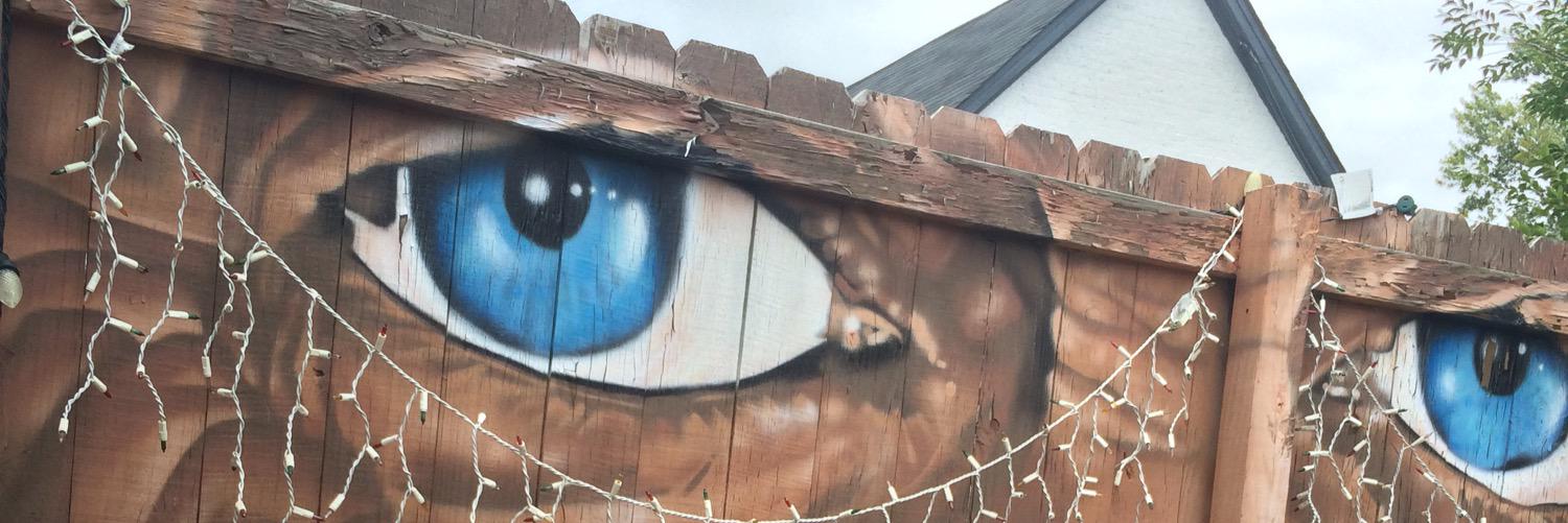 Tofurkey Terry banner