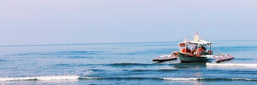 arvinaliguin's profile banner image