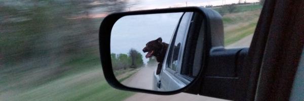 KPeschong Profile Banner