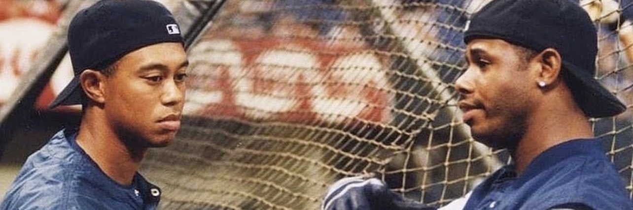 Sammy banner