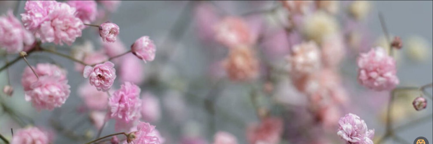 MsRoseNectar's profile banner image