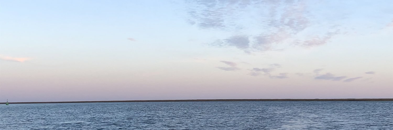 FloraaaaPerks's profile banner image