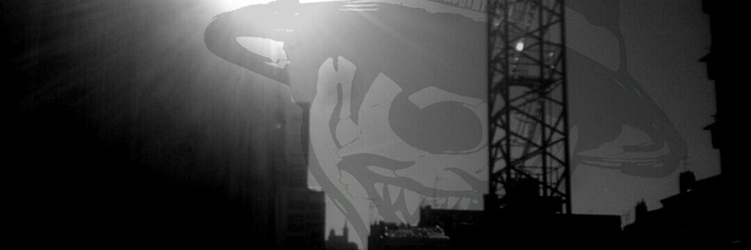 MLR235's profile banner image