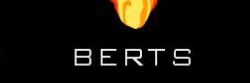 Bertspro's profile banner image