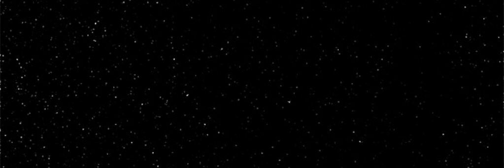 dinojiyn's profile banner image