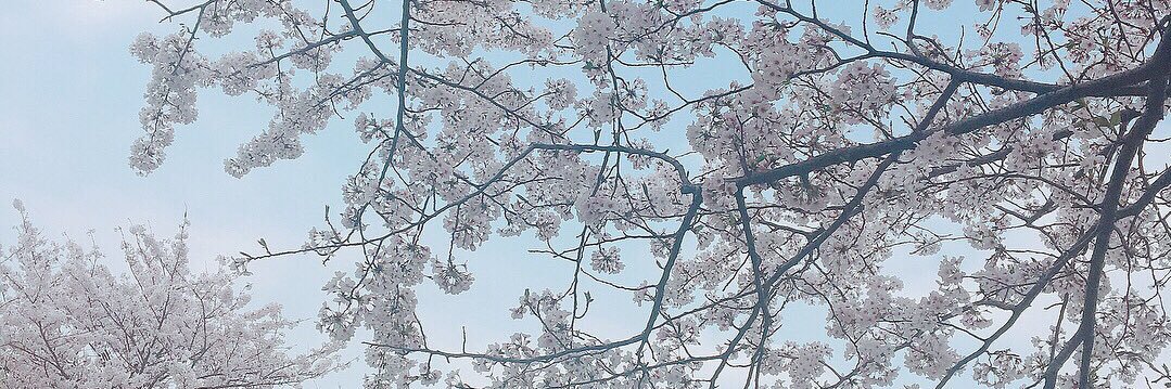 ttksn_'s profile banner image