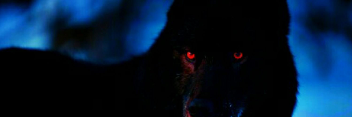 Kingndeed's profile banner image