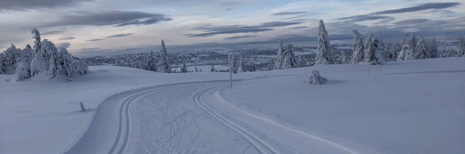 BarbroKTromborg's profile banner image