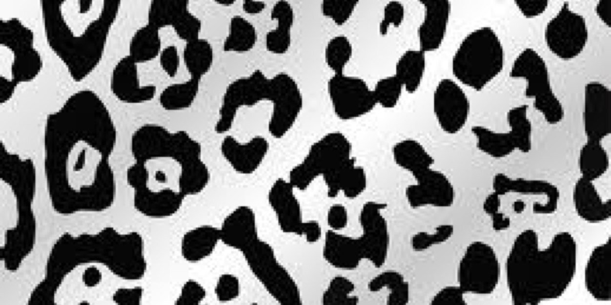 PaigecatX's profile banner image