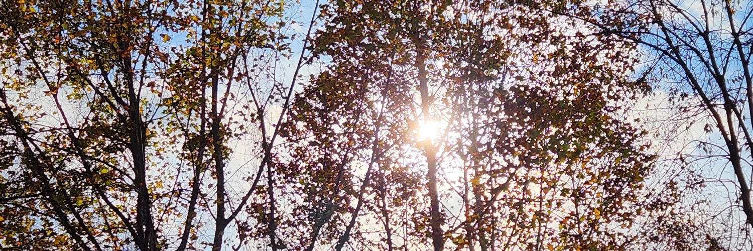 Sr Emily Beata Marsh banner