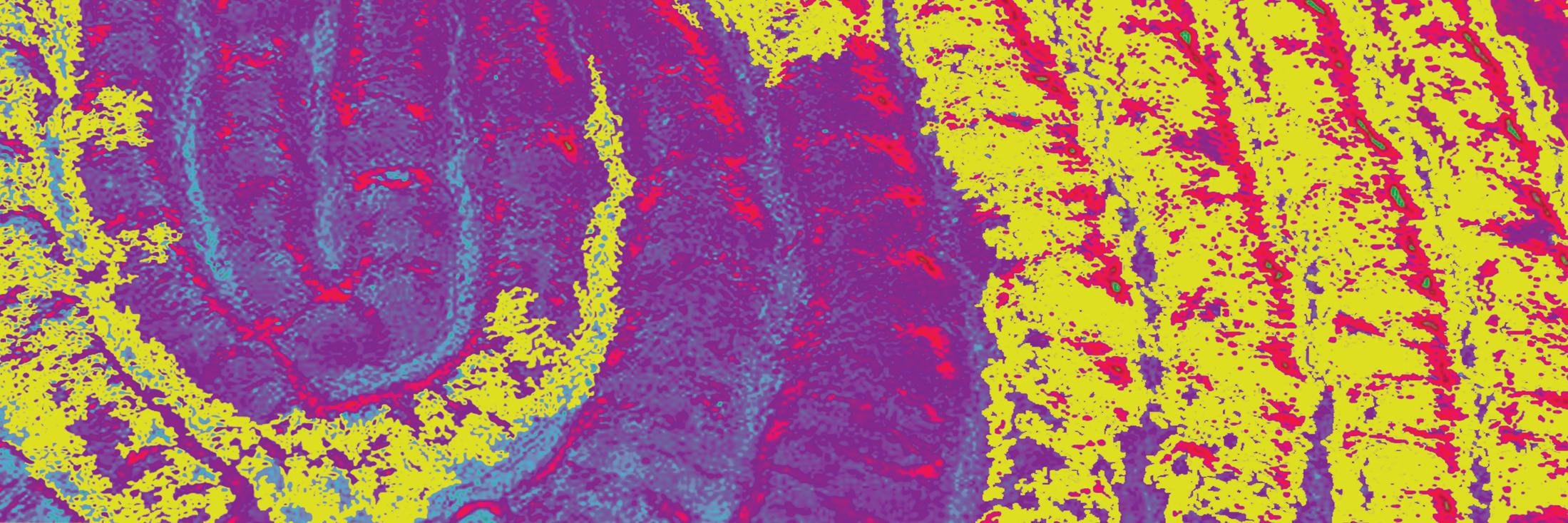 SycamoreAge's profile banner image