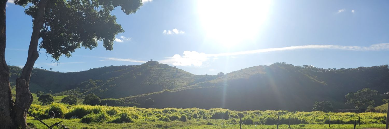vihmsgomes's profile banner image