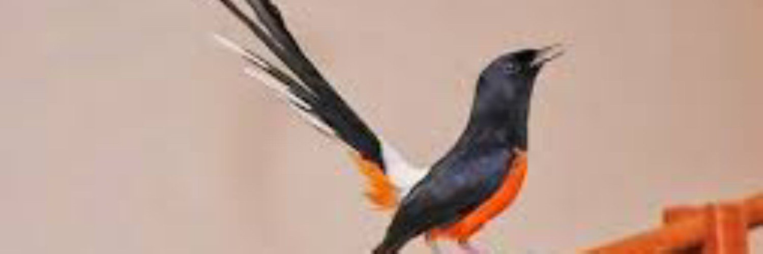 dederudiansyah8's profile banner image