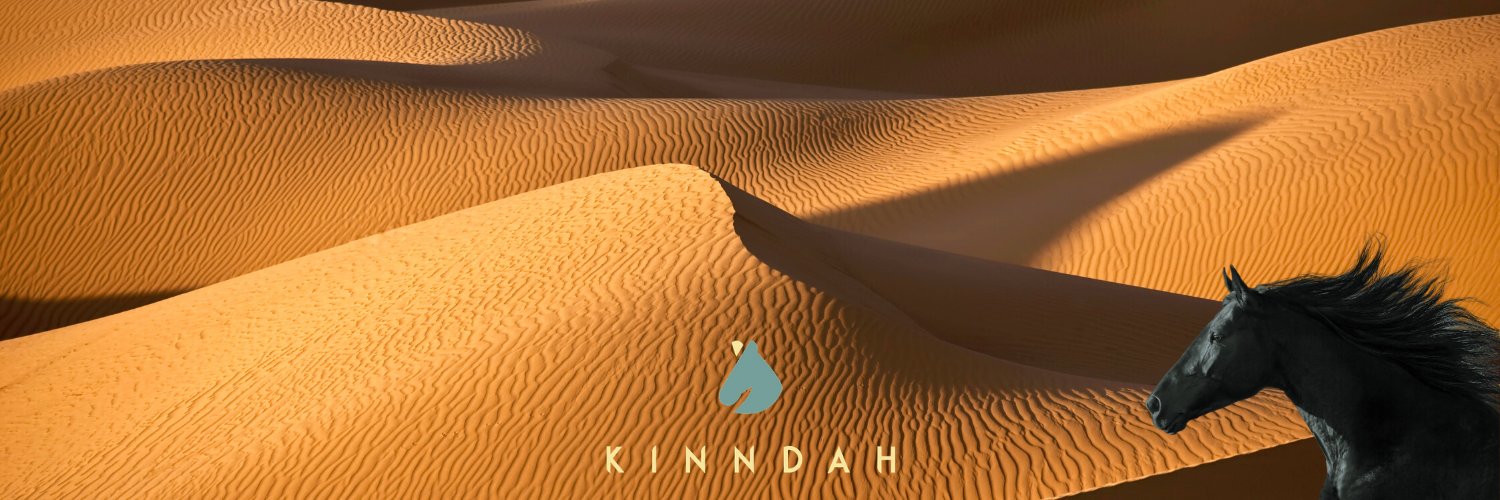 KinndahSA's profile banner image