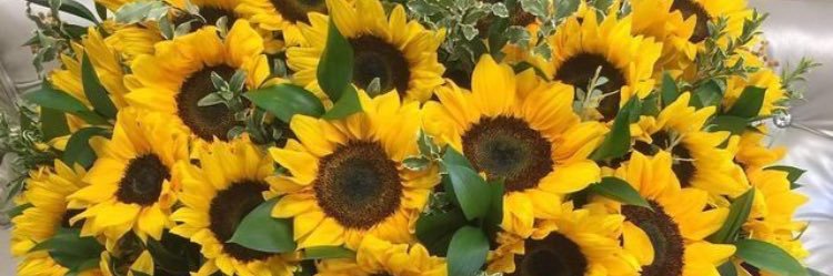 mayragueraaa's profile banner image