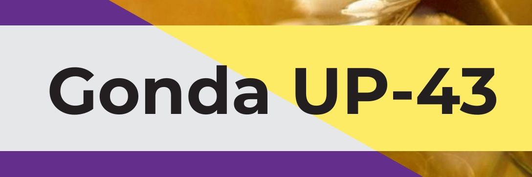 GondaUp_43's profile banner image