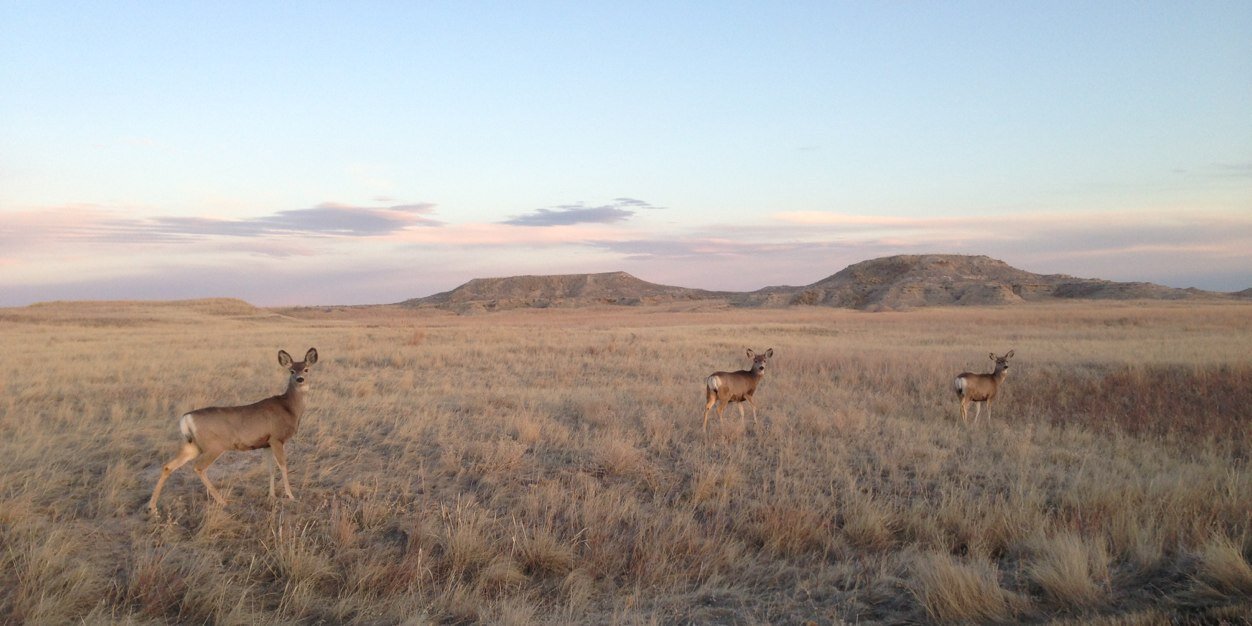 Dan Simmons-Ritchie banner