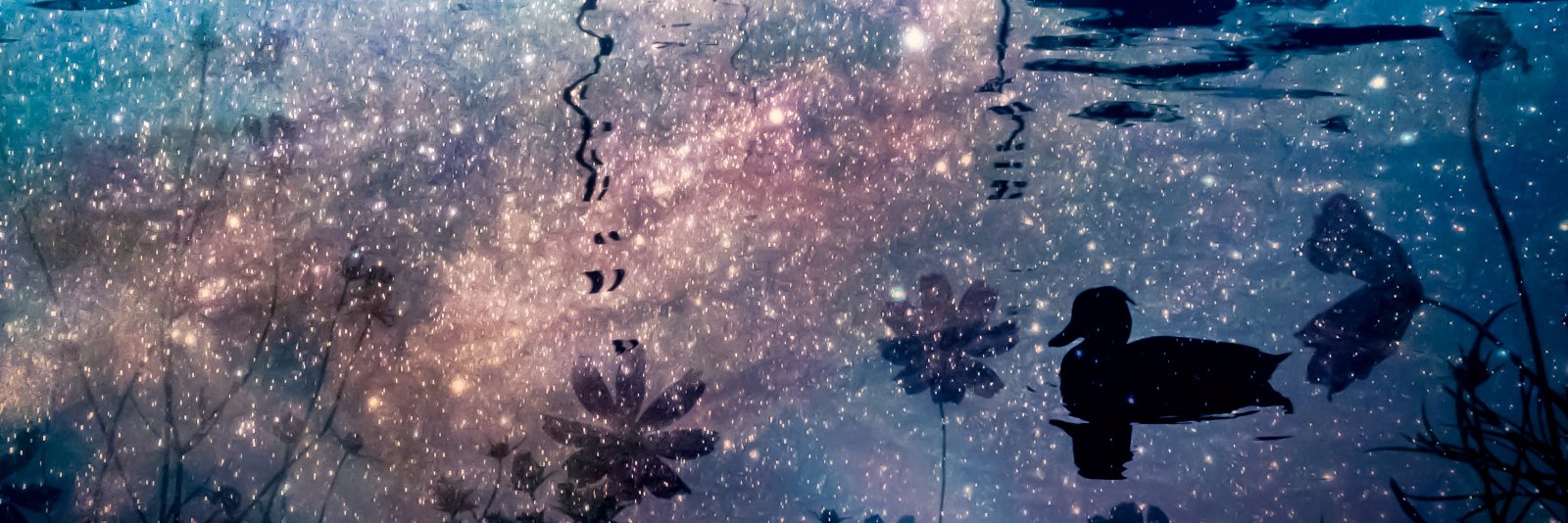 綾瀬 banner
