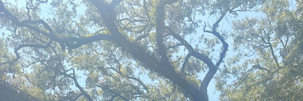 FollowAlisonT Profile Banner