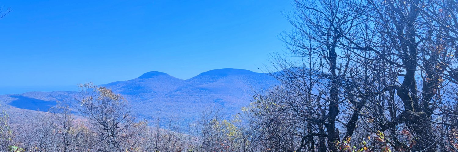 Alison Taylor banner