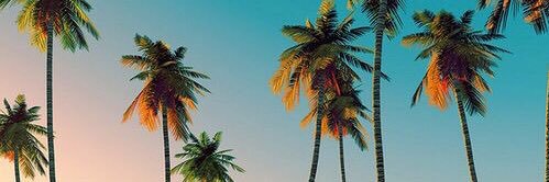 Enah Razel Te banner