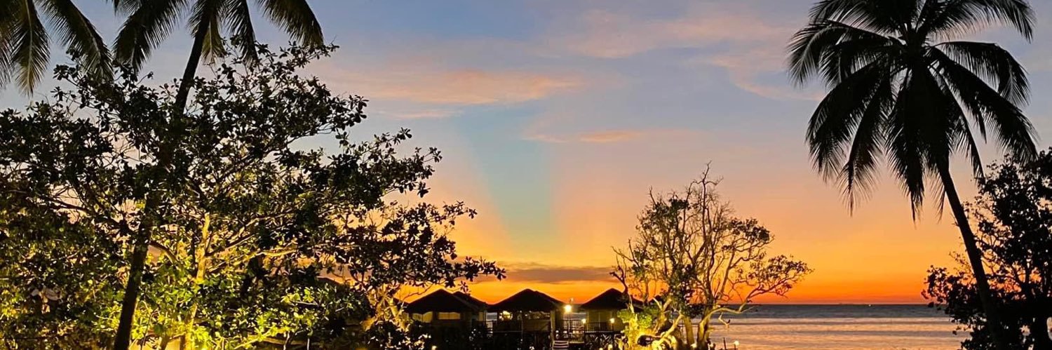 shenahtorres's profile banner image