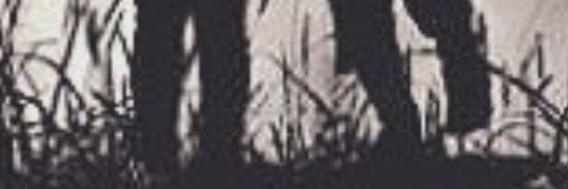 sul💫 banner