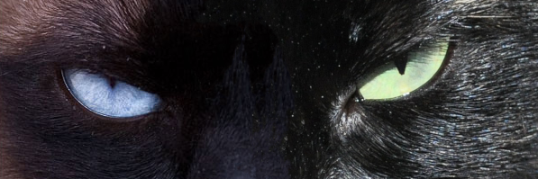 rvengue's profile banner image