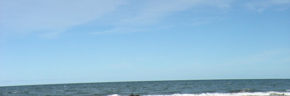 lucky_floppy's profile banner image