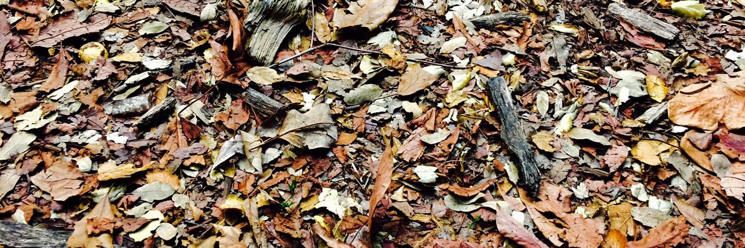 ken625's profile banner image