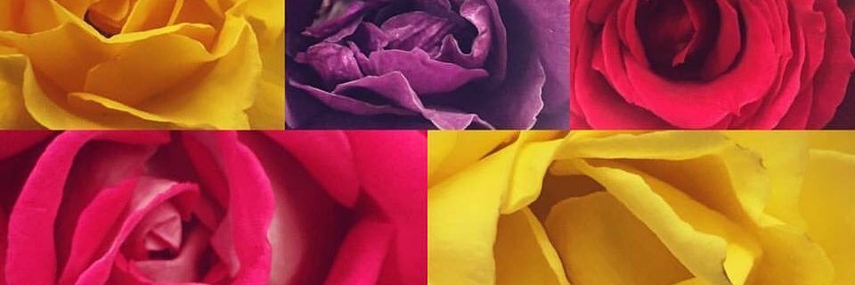 RFSnGT's profile banner image