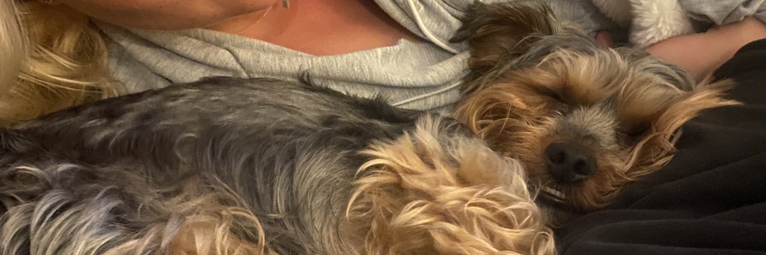 Steve Edwards banner