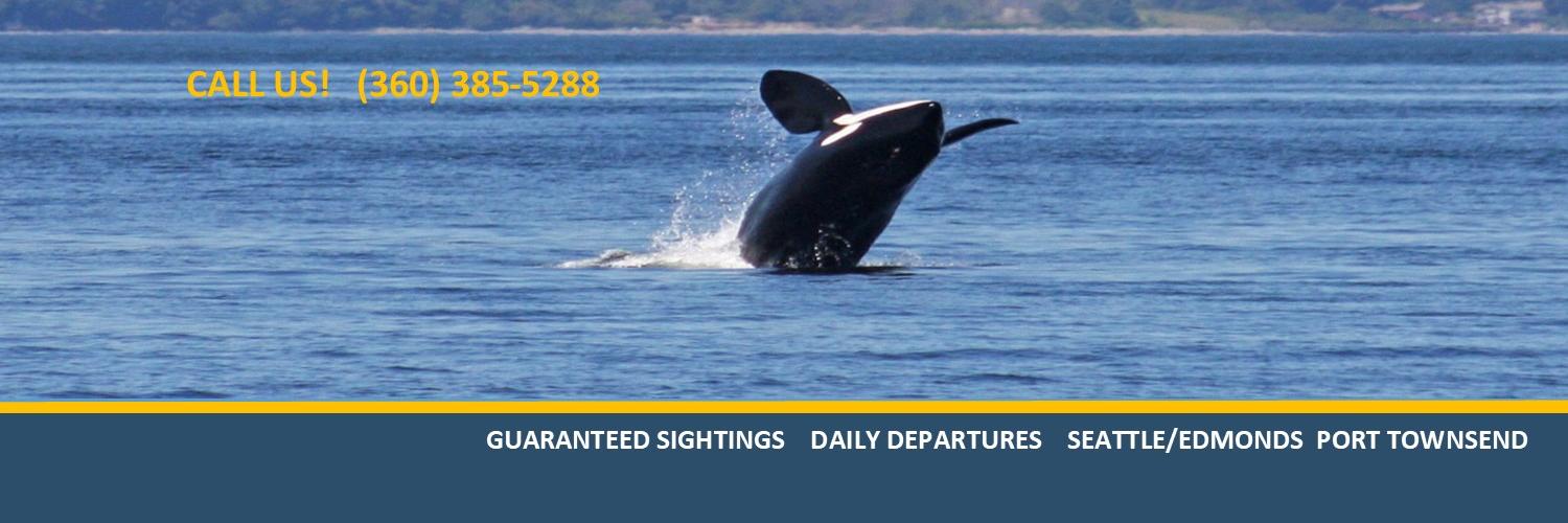 Puget Sound Express banner